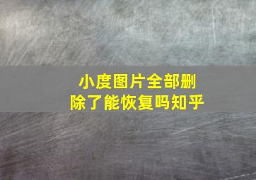 小度图片全部删除了能恢复吗知乎