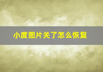 小度图片关了怎么恢复