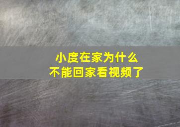 小度在家为什么不能回家看视频了