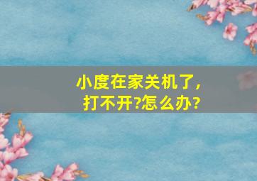 小度在家关机了,打不开?怎么办?