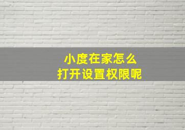 小度在家怎么打开设置权限呢