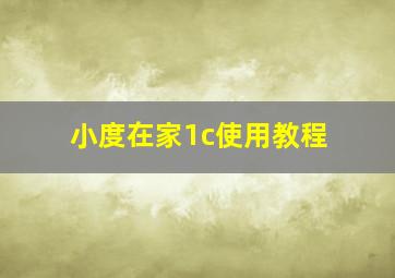 小度在家1c使用教程