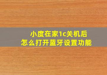 小度在家1c关机后怎么打开蓝牙设置功能