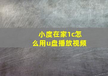 小度在家1c怎么用u盘播放视频