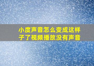 小度声音怎么变成这样子了视频播放没有声音