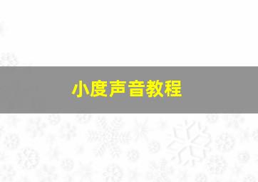 小度声音教程