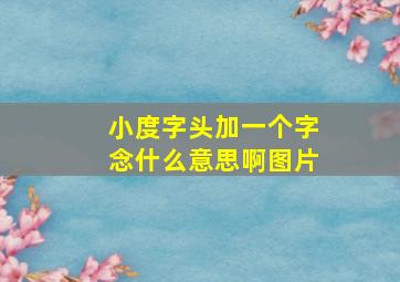 小度字头加一个字念什么意思啊图片