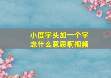 小度字头加一个字念什么意思啊视频