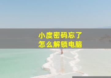 小度密码忘了怎么解锁电脑