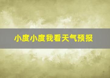 小度小度我看天气预报