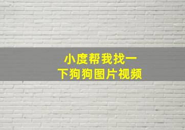 小度帮我找一下狗狗图片视频