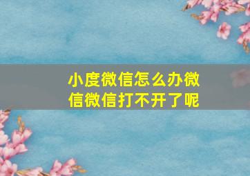 小度微信怎么办微信微信打不开了呢