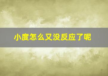 小度怎么又没反应了呢