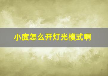 小度怎么开灯光模式啊