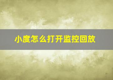 小度怎么打开监控回放