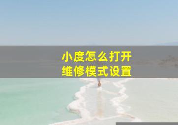 小度怎么打开维修模式设置