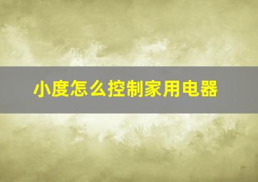 小度怎么控制家用电器