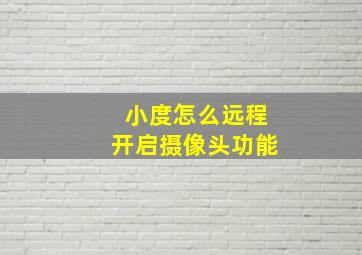 小度怎么远程开启摄像头功能