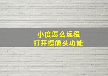 小度怎么远程打开摄像头功能