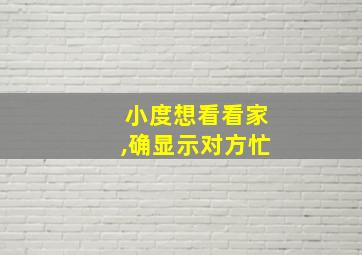 小度想看看家,确显示对方忙