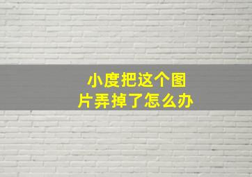 小度把这个图片弄掉了怎么办