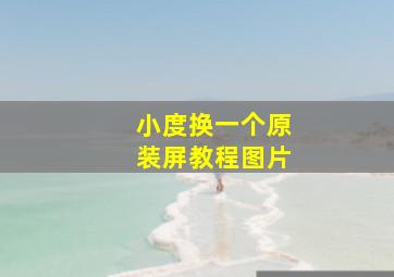 小度换一个原装屏教程图片