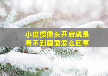 小度摄像头开启就是看不到画面怎么回事