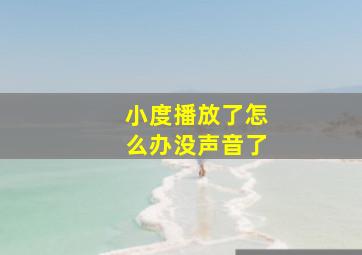 小度播放了怎么办没声音了