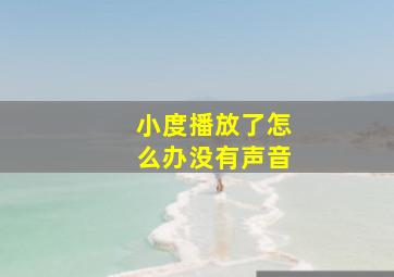 小度播放了怎么办没有声音