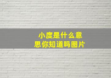 小度是什么意思你知道吗图片