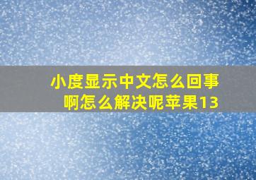 小度显示中文怎么回事啊怎么解决呢苹果13