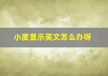 小度显示英文怎么办呀