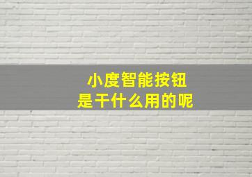 小度智能按钮是干什么用的呢