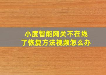 小度智能网关不在线了恢复方法视频怎么办