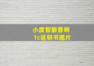 小度智能音响1c说明书图片