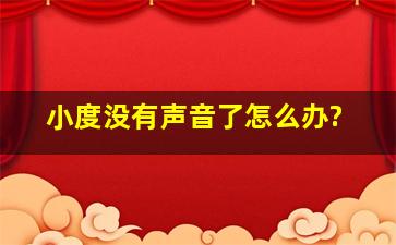 小度没有声音了怎么办?