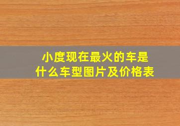 小度现在最火的车是什么车型图片及价格表