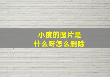 小度的图片是什么呀怎么删除