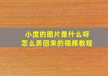 小度的图片是什么呀怎么弄回来的视频教程