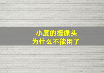 小度的摄像头为什么不能用了