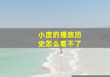 小度的播放历史怎么看不了