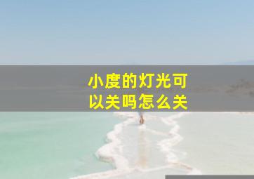 小度的灯光可以关吗怎么关