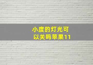 小度的灯光可以关吗苹果11