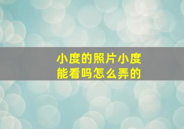 小度的照片小度能看吗怎么弄的