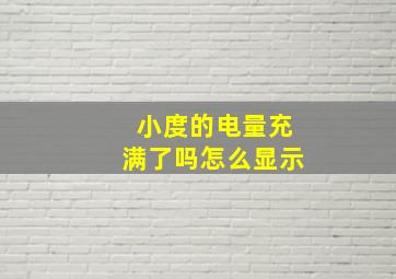 小度的电量充满了吗怎么显示