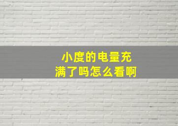 小度的电量充满了吗怎么看啊