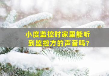 小度监控时家里能听到监控方的声音吗?