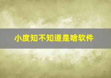 小度知不知道是啥软件