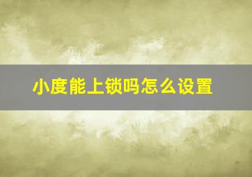 小度能上锁吗怎么设置