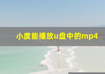 小度能播放u盘中的mp4